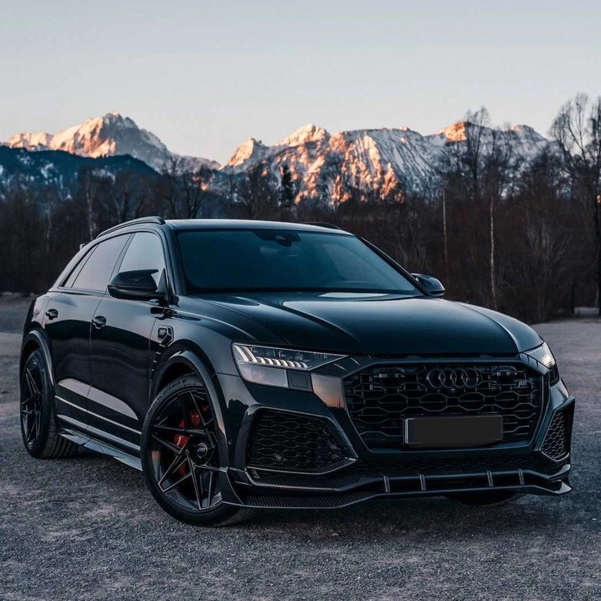 AUDI RS Q8 2023 4000CC 600Hp
